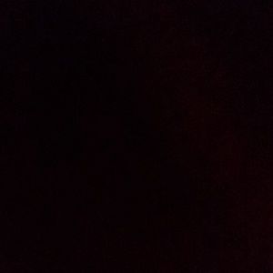 Meet your Posher, Priscilla